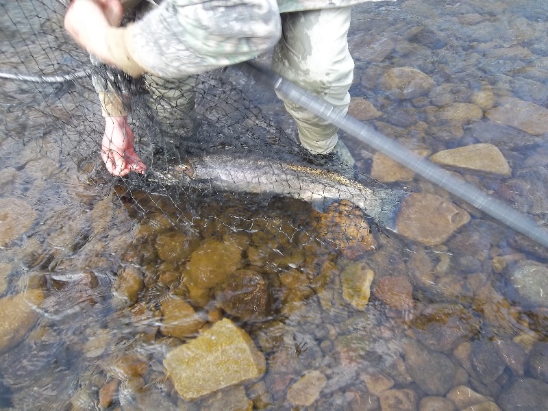 Central Square fishing photo 2