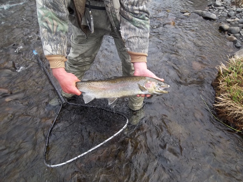 Cleveland fishing photo 3