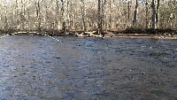 Veteran's Day on the Salmon River, NY