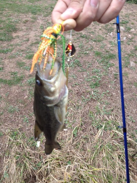 my first largemouth bass near Airmont