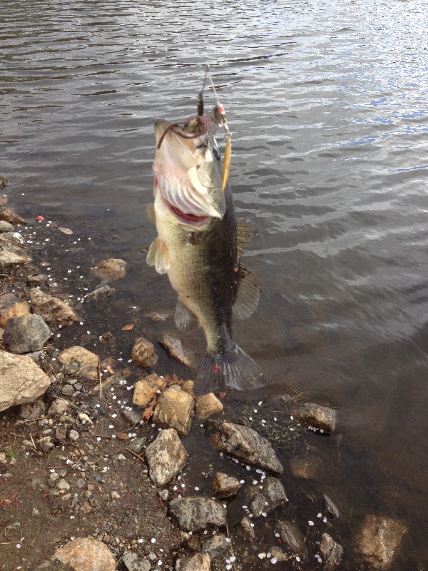 6 pounds largemouth bass near Monsey