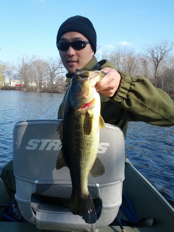 4 pounder on a golden shiner Revenge spinnerbait