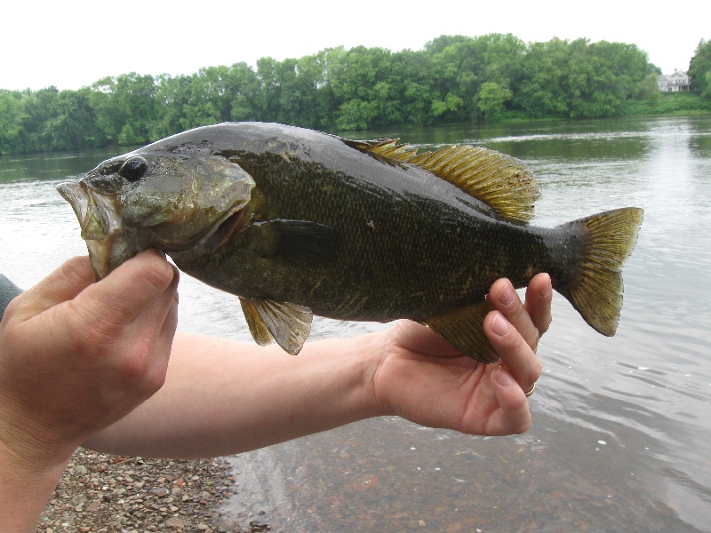 river smallie