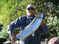 Salmon 2012 Fishing Report