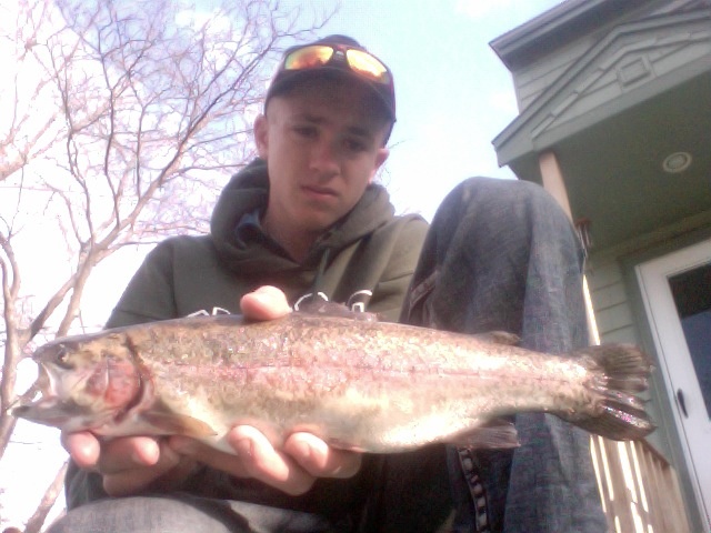 trout 