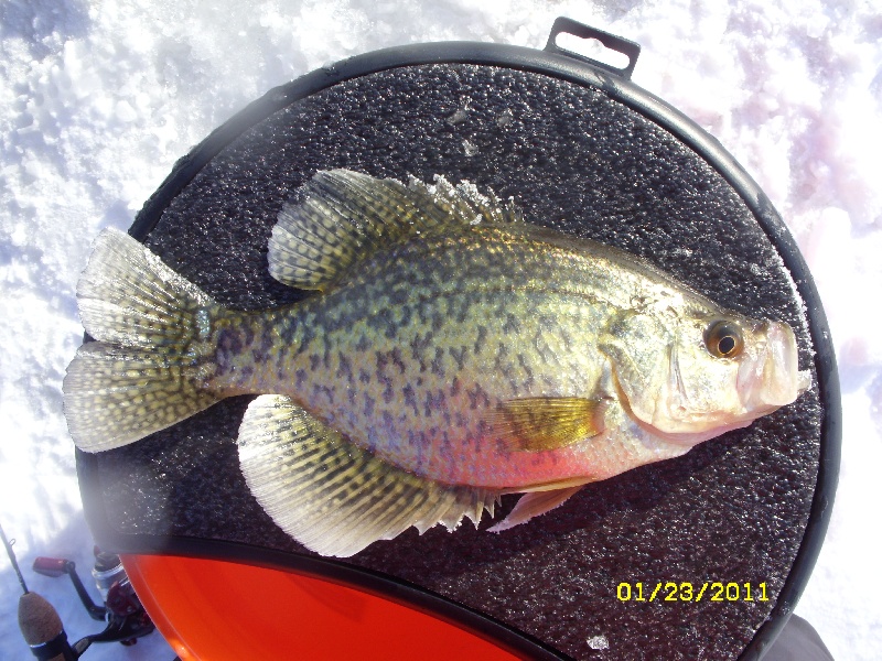 Mohasnic Ice Fishing