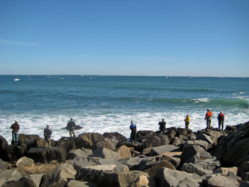 all lined up near Montauk