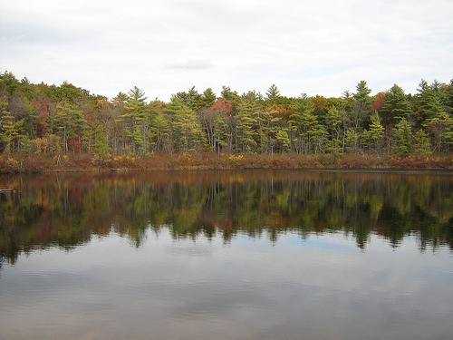 Berry Pond 