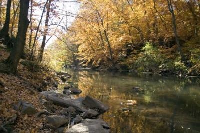 Bronx River