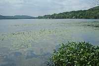 Cayuta Lake