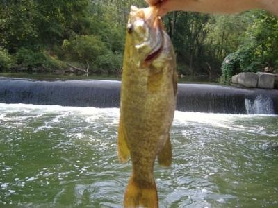 Chadakoin River