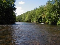 East Branch Delaware River