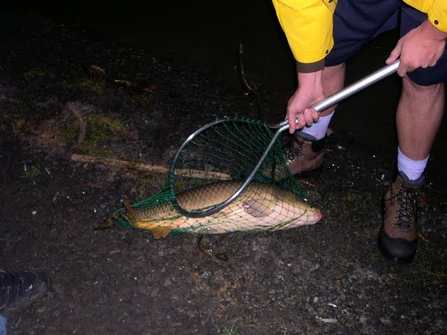 Village of Waterford fishing photo 2