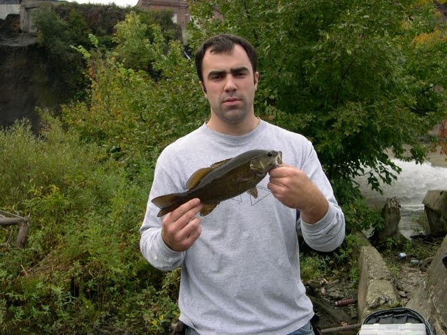Village of Menands fishing photo 1