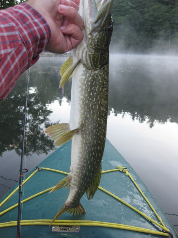 Lake George Village fishing photo 5