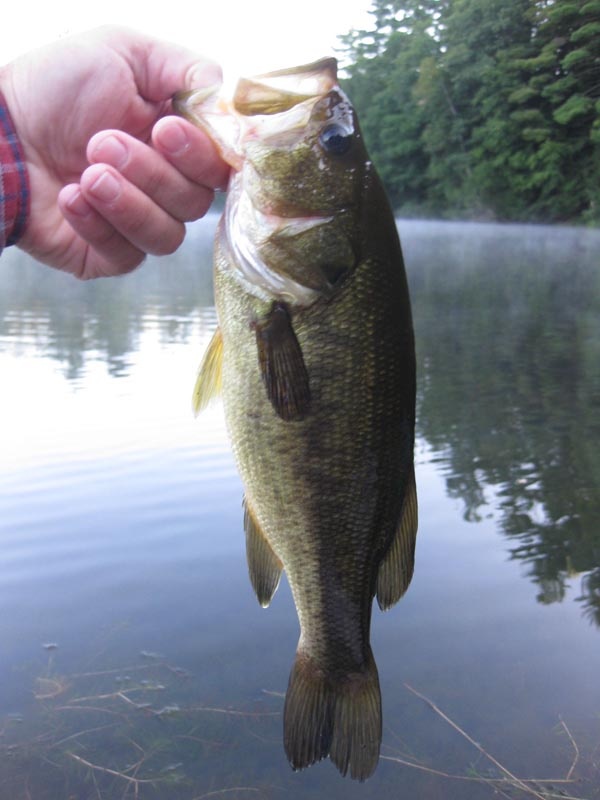 Lake George Village fishing photo 3