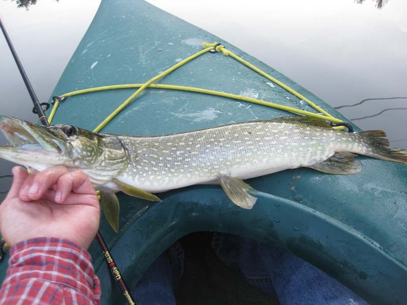 Queensbury fishing photo 3