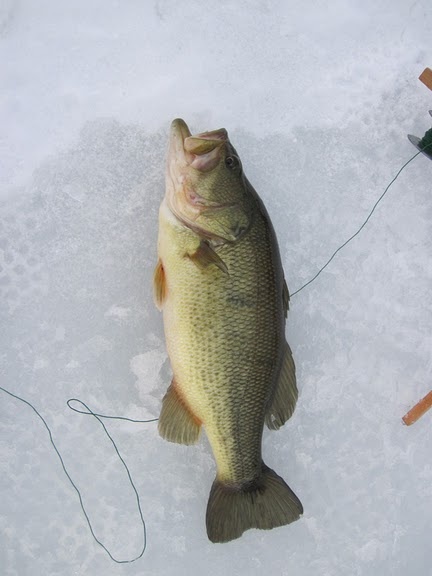 Fort Johnson fishing photo 4