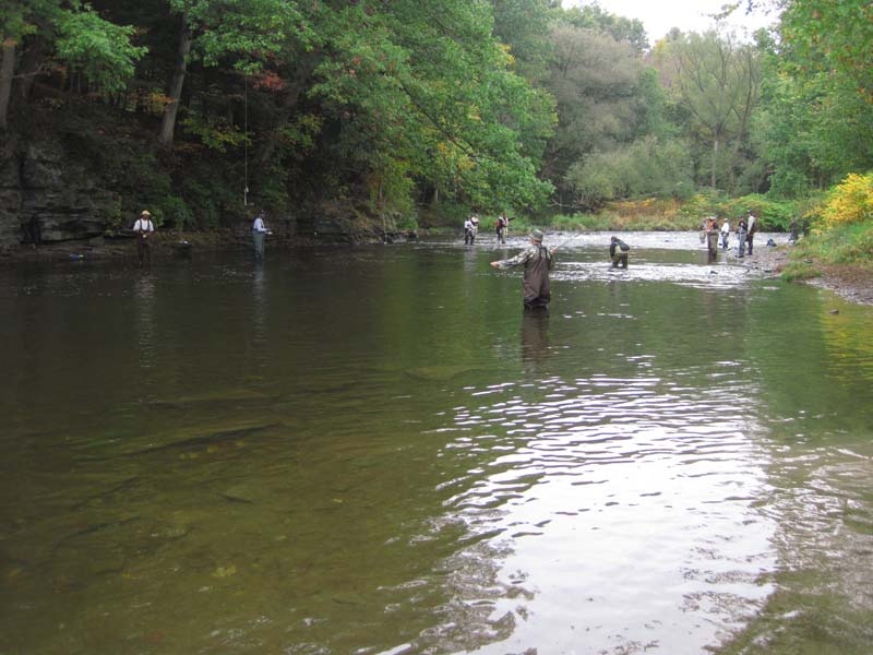 Sandy Creek fishing photo 1